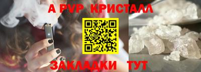 прущие грибы Вязьма