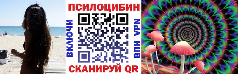 Псилоцибиновые грибы мицелий Липецк