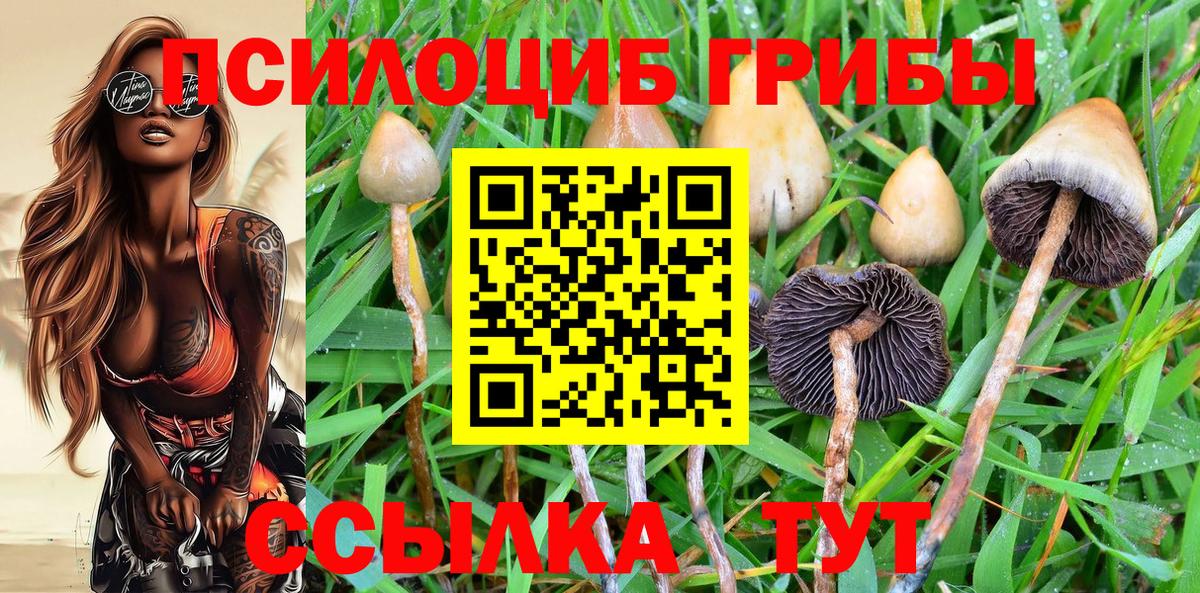 Галлюциногенные грибы Magic Shrooms  Галлюциногенные грибы Psilocybine cubensis  Липецк  Вход с VPN 