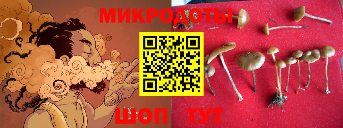 Галлюциногенные грибы прущие грибы Липецк